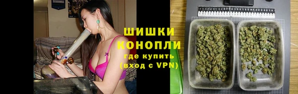 бошки Алексин
