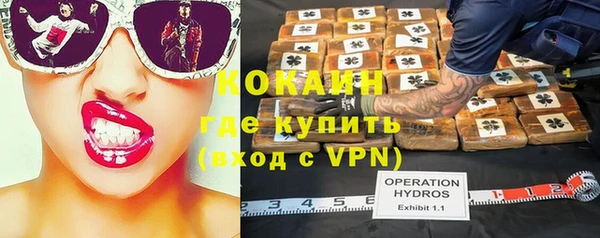 бошки Алексин