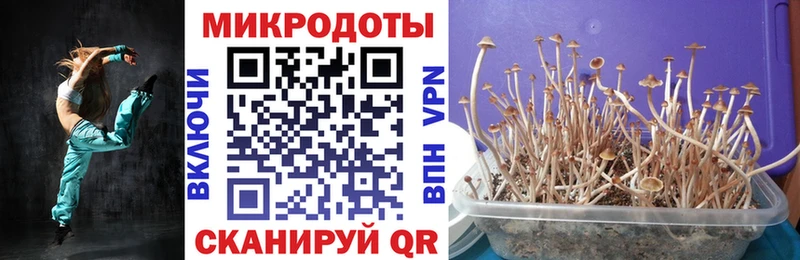 Галлюциногенные грибы прущие грибы  Киреевск 