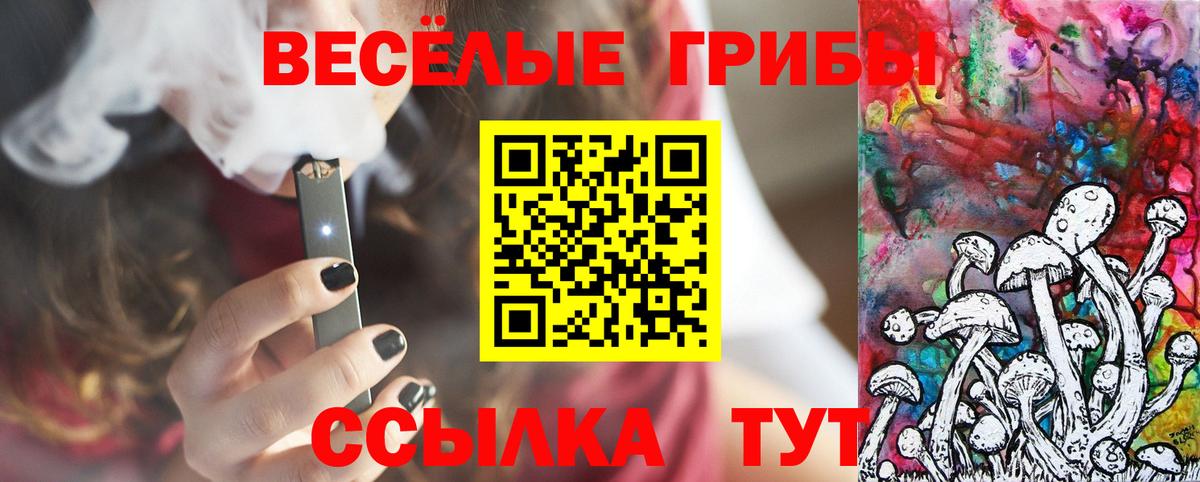 Киреевск  Галлюциногенные грибы прущие грибы  Вход с VPN 
